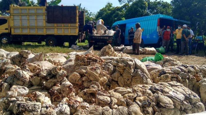 Rubber Prices Plummet, APINDO South Kalimantan Urges Local Government Intervention